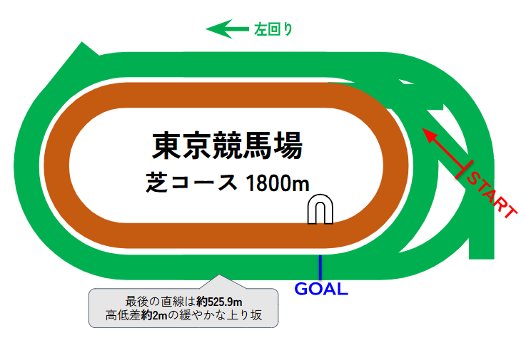 東京競馬場のコース図