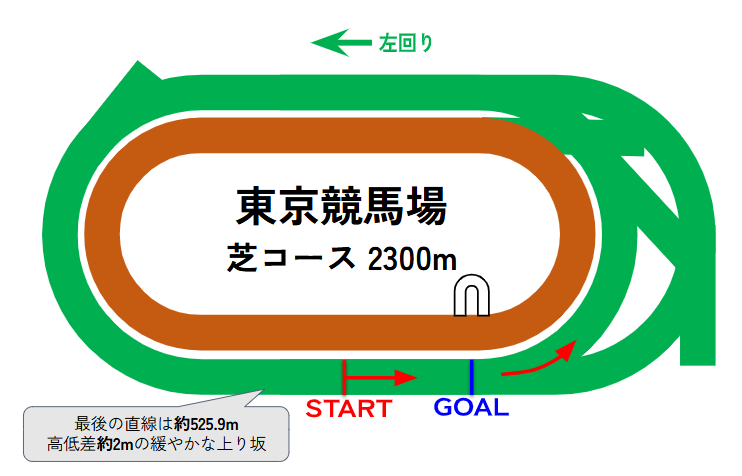 東京競馬場のコース図